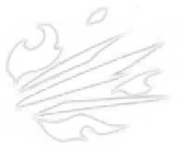 Ху Тао Genshin impact способности